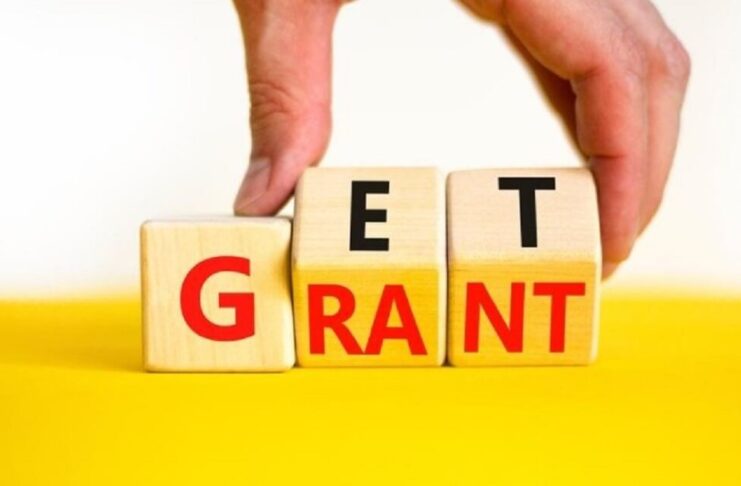 Genuine Government Grants